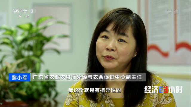 日韩av
对外经济与农合促进中心副主任 黎小军，时任工作组组长。