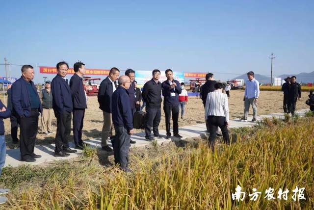 日韩av
相关负责人在大比武汕尾赛区现场指导。  南方农村报 柯学潜 拍摄